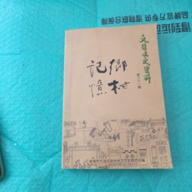 大洼文史资料第三十一辑（乡村记忆）