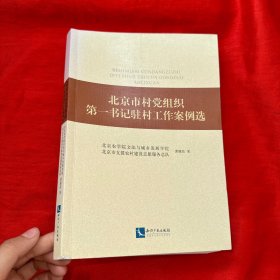 北京市村党组织第一书记驻村工作案例选