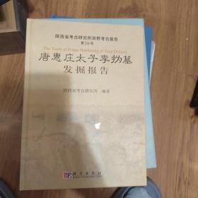 唐惠庄太子李沩墓发掘报告：陕西省考古研究所田野考古报告第26号