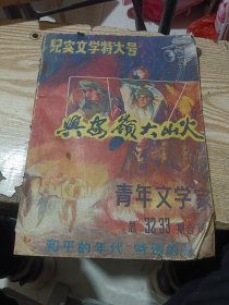 青年文学家 1987年8、9月号合刊 兴安岭大山火