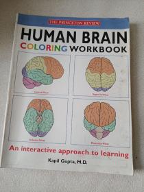 Human Brain Coloring Workbook