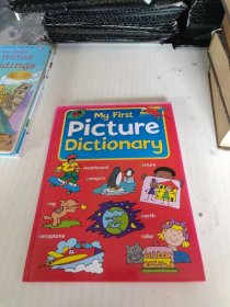 My first picture dictionary