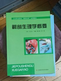 解剖生理学概要（卫生职业院校课程改革试用教材）