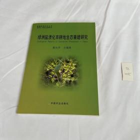 綠洲鹽漬化棄耕地生態(tài)重建研究