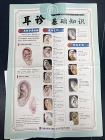 观耳诊病挂图/中医望诊系列挂图