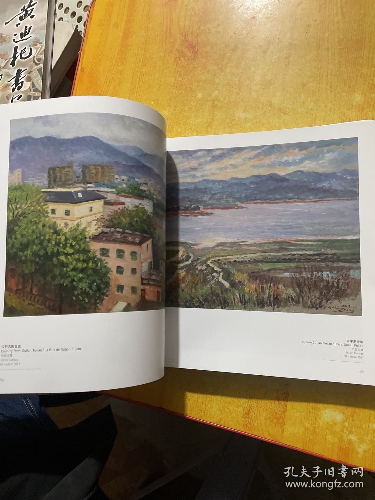 林鸣岗油画集（12开）