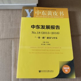 中东发展报告