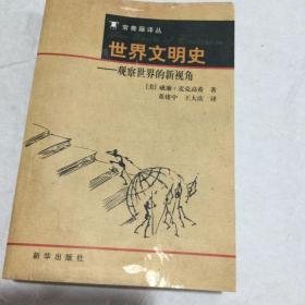 世界文明史观察世界的新视角
