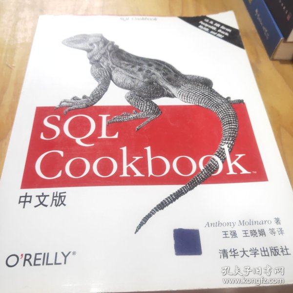 SQL Cookbook中文版