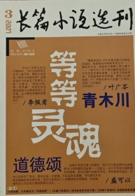 长篇小说选刊(2007年第3期)