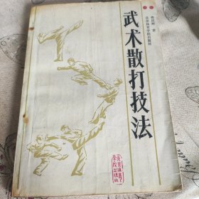 武术散打技法