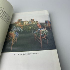 雕塑——空间的艺术