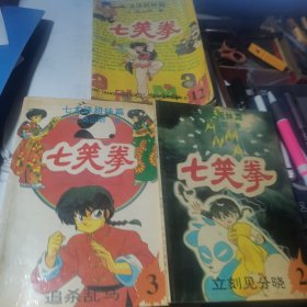 七笑拳七龙珠姐妹篇：2立刻见分晓、3追杀乱马、12不死身少年 三册合售