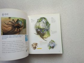 （韩文版）Encyclopedia of Animals：Invertebrates·Amphibians·Reptiles 动物百科全书: 无脊椎动物 · 两栖动物 · 爬行动物 精装本