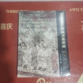 馆藏唐墓壁画病害调查研究