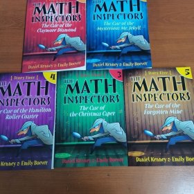 The Math Inspectors