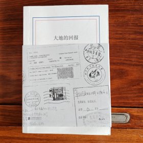 大地的回报（被视为“中国文学秘密”的薛忆沩“文学三十年”作品集）