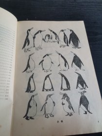 动物画