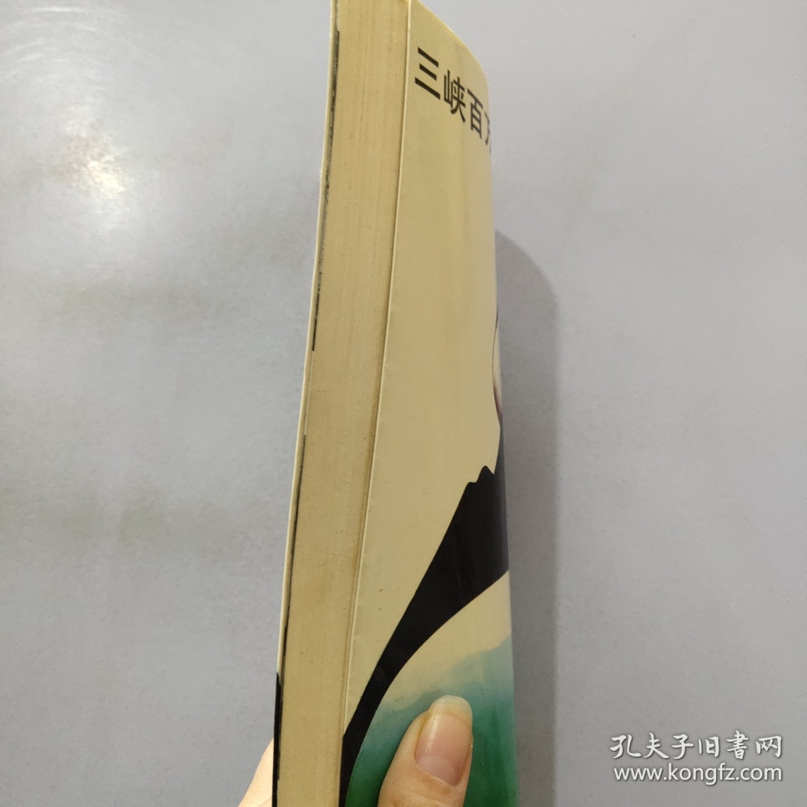 三峡百万移民出路何在?:来自库区的长篇报告