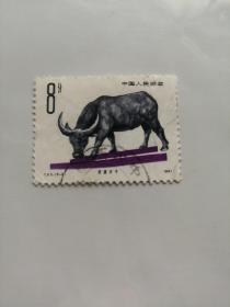 滨湖水牛8分邮票。