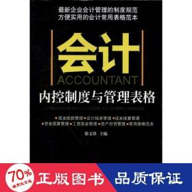 内控制度与管理表格 会计 徐文锋