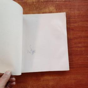 骨科分册——实用专科护士丛书