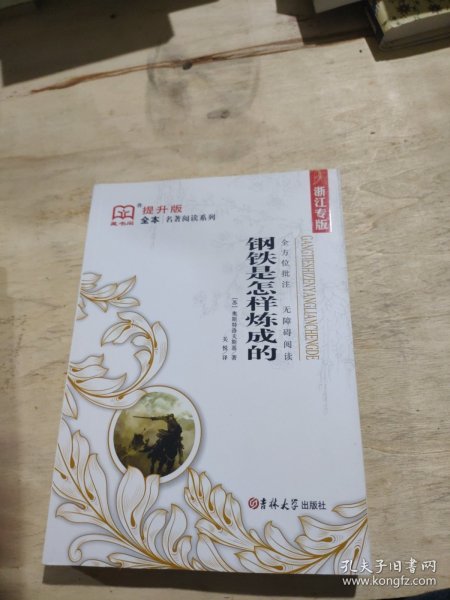 钢铁是怎样炼成的（全译本）