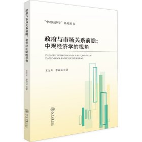 政府与市场关系前瞻:中观经济学的视角