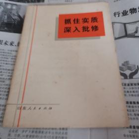 抓住实质.深入批 修.