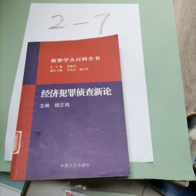 经济犯罪侦查新论