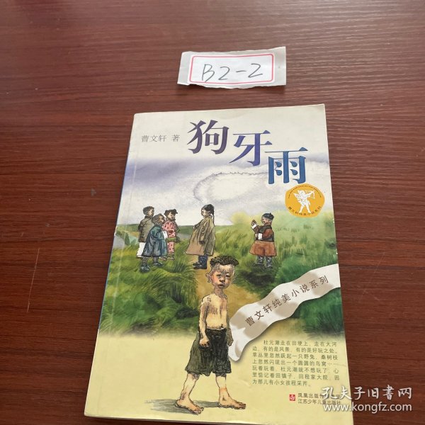 狗牙雨：曹文轩纯美小说系列