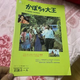 电影场刊 大傻瓜 Il grande cocomero