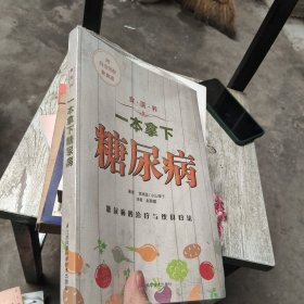 食·医·养系列：一本拿下糖尿病