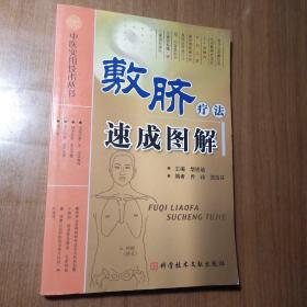 敷脐疗法速成图解【外观磨损边角磨损书口磕碰伤。内页干净无勾画。不缺页不掉页仔细看图】