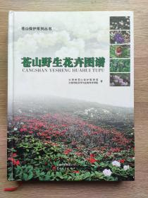 苍山野生花卉图谱