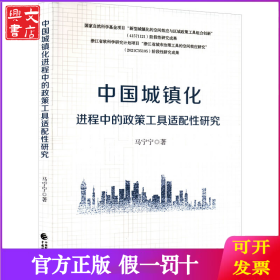 中国城镇化进程中的政策工具适配性研究