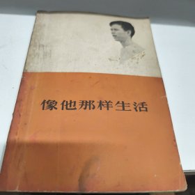 像他那样生活 1965年印F童区