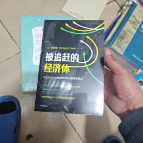 被追赶的经济体