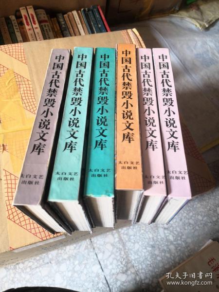 中国古代禁毁言情小说：16开本