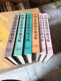 中国古代禁毁言情小说：16开本