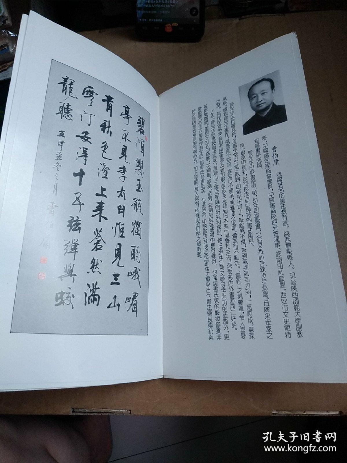 西安市文史研究馆书画馆员、特约书画研究员简介书与画