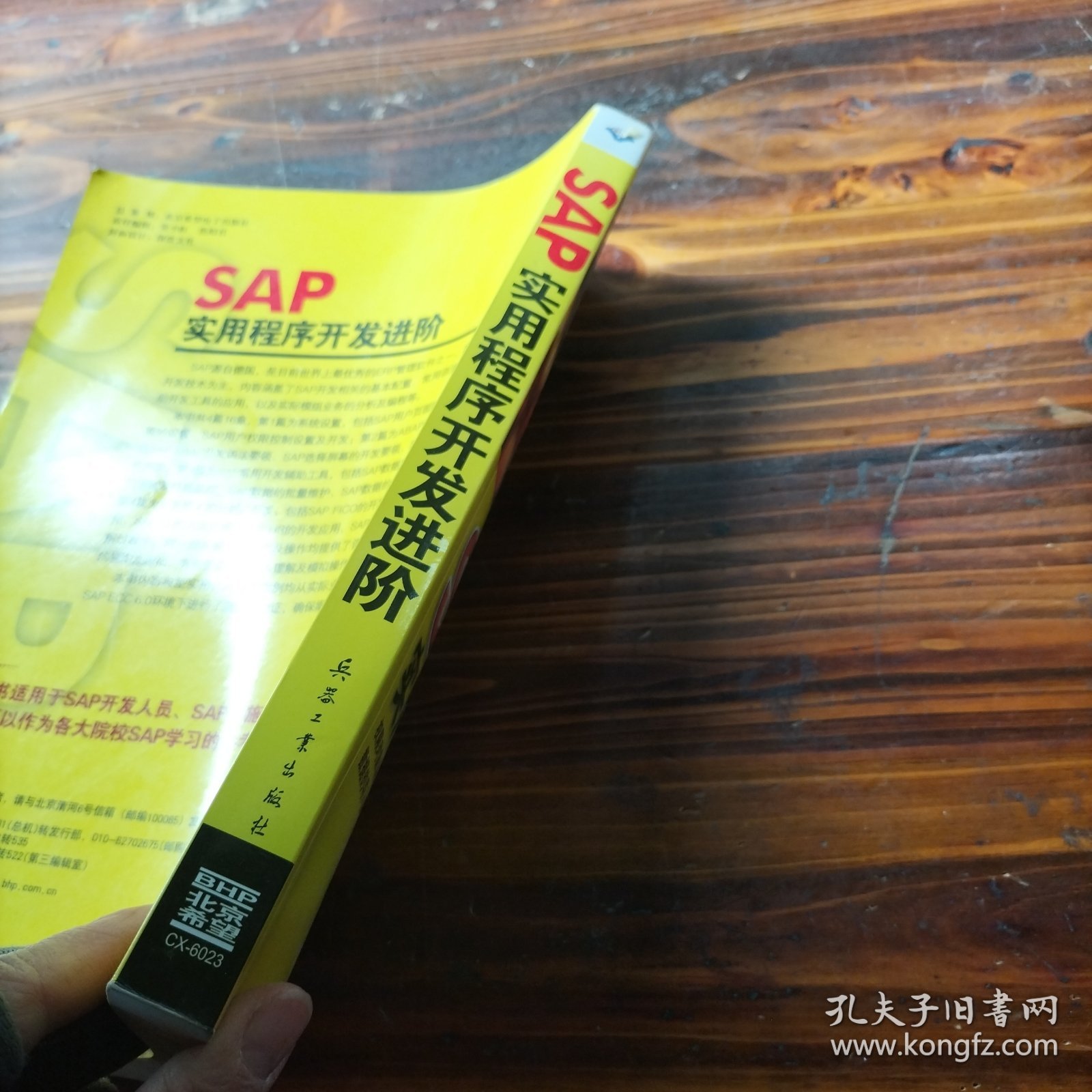 SAP实用程序开发进阶