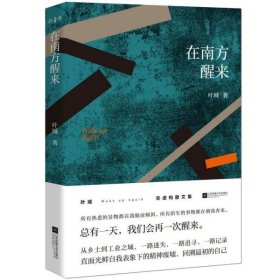 在南方醒来 普通图书/文学 叶城 江苏文艺出版社 9787559446770