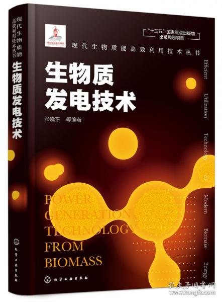 现代生物质能高效利用技术丛书--生物质发电技术