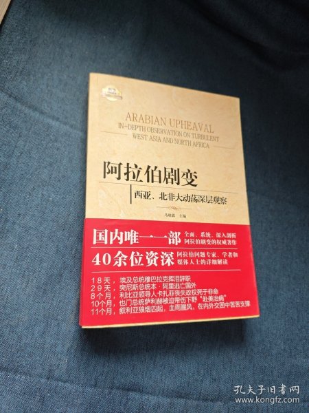 阿拉伯剧变：西亚、北非大动荡深层观察