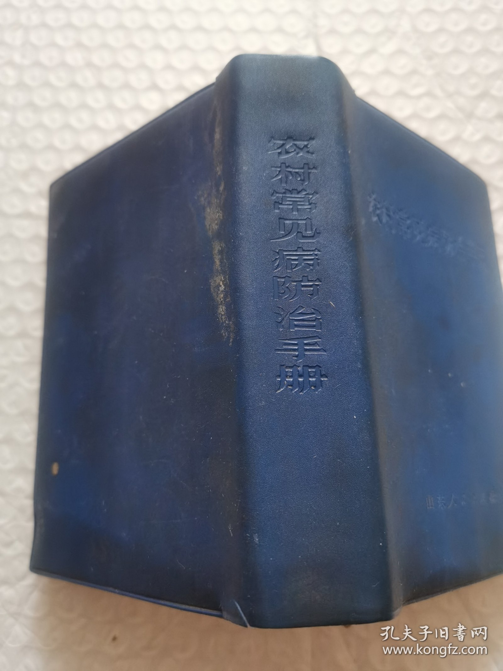 农村常见病防治手册