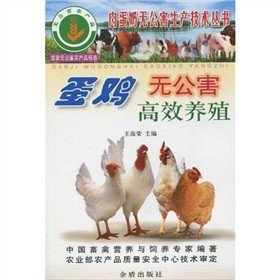 蛋鸡无公害高效养殖——肉蛋奶无公害生产技术丛书