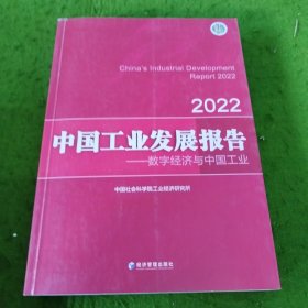 中国工业发展报告（2022）