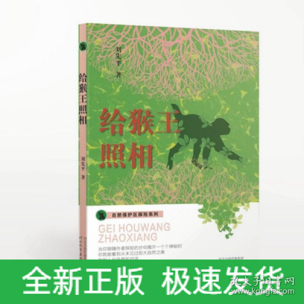 自然保护区探险系列——给猴王照相