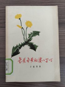 金黄金黄婆婆丁呵